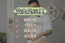 足三里艾灸实操：善调一切脾胃问题，养生长寿大穴，气血亏虚主穴视频封面
