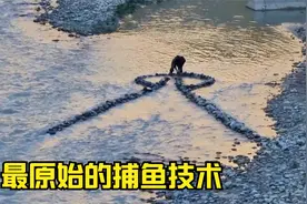 仅用石头制作的捕鱼陷阱，真正的原始技术却能有奇迹般的收获！视频封面
