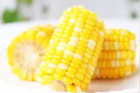 素食不容易生病，但是要多吃这十大食物，因为它们富含维生素B12视频封面