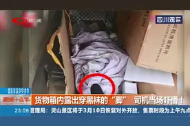 奇怪的订单！货物箱内露出穿黑袜的“脚”？司机当场吓懵！视频封面