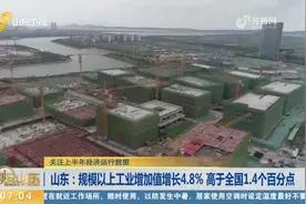 上半年山东规模以上工业增加值增长4.8%，高于全国1.4个百分点视频封面