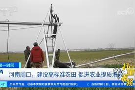 河南周口：加快建设高标准农田，促进农业提质增效|第一时间视频封面