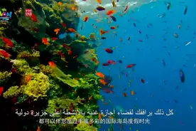 海南自贸港欢迎您 Welcome to Hainan Free Trade Port视频封面