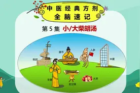 中药方剂·漫画速记：第05集（大小柴胡汤）视频封面