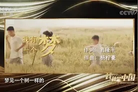 我就是中国：中国脊梁视频封面