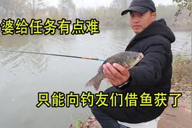 野钓：老婆给的任务有点难，钓20斤鲫鱼才让回家，属实有点难！视频封面