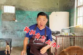 护食的狗怎么解决？你还是用打的方法吗？十年训犬师讲出问题所在视频封面