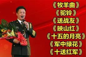 军歌嘹亮<牧羊曲><驼铃><送战友><映山红><十五的月亮><军中绿花>视频封面