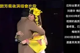 补发 刘德华在2003年梅艳芳告别演唱会的视频，已收录在专辑内。视频封面