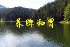 [音疗养生]每天听3遍，养脾和胃，促进消化吸收，祛湿降火视频封面