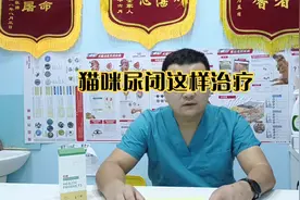 猫咪尿闭尿不出来尿尿不顺畅，不复发就这样治疗，成功率很高。视频封面