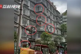 黔灵山因疫情闭园群猴下山觅食，正在诱导归园视频封面