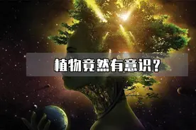 植物竟然有意识，这是为什么呢？看完你就知道了！视频封面