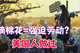 摘棉花=强迫劳动？因为美国人做过视频封面