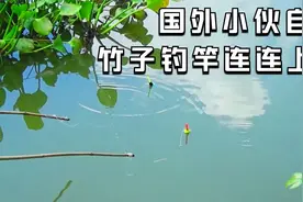 小伙自制简易竹子钓鱼竿，连杆上鱼，这不是气装备精良的钓友吗？视频封面