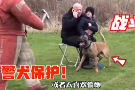 狗狗通过什么考试，才能顺利当上警犬？混个铁饭碗不容易啊视频封面