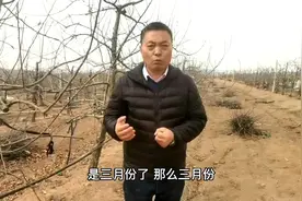 开春后，果园的第一遍水什么时候浇？视频封面