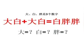 学生考我的题，大白+大白=白胖胖，大白胖各是几？