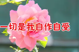 新歌！《一切是我自作自受》以为真心能到永久最后只剩难愈的伤口视频封面