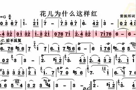 动态谱-花儿为什么这样红