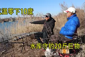 据说水库在每年的这几天会出20斤的大鲤鱼，今天必须来守一下视频封面
