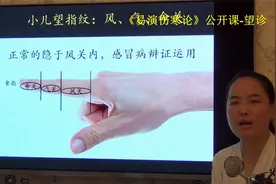 中医望诊小儿望指纹重点虎口三观临床辨别 易演伤寒论公开课3视频封面