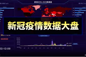【世界疫情】新冠数据大盘（2019~2022）视频封面