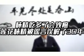 配料只有小麦的莲花味精被谣言误解30年？视频封面