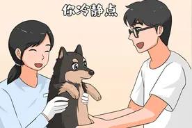 小狗狗惊声惨叫，万万没想到原因是这样的视频封面