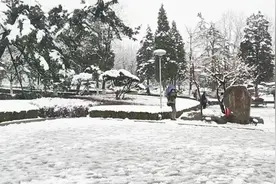 3月30日大雪突降丹东，市民纷纷出门嬉雪拍照，雪景美如油画视频封面