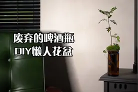 啤酒瓶你们都是怎么处理的？今天教大家用它做个懒人花盆。视频封面