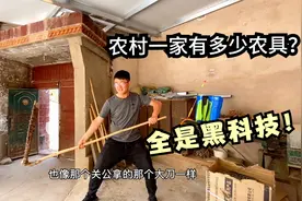 农村到底有啥黑科技？成本不到10块的农具竟这么好用，小树玩嗨了视频封面