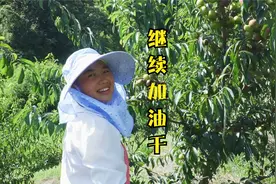 23岁农村妹子回家创业，顶着烈日艰苦工作，只为帮村民增加收入视频封面