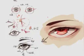 眼睛的固定结构！经常把眼睛画错的绘画初学者们赶紧收藏啦视频封面