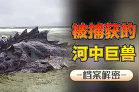 河中巨兽：体长3米拖人下水的河流霸主，恐怖的湖中巨怪长啥样？视频封面