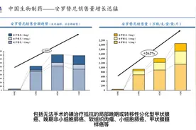 中国肿瘤创新药之五：回顾中国生物制药、诺诚健华、双鹭药业视频封面