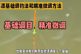 原来浮漂这么调，灵敏度达到最佳，精准微调，钓大钓小都不怕视频封面