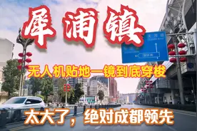 太大了！郫都犀浦镇新区域，半小时不能跑半边，无人机贴地拍犀浦视频封面