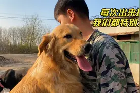 狗狗们一出门就撒欢了，一度场面“失控”，开心得一个个咧着嘴笑视频封面