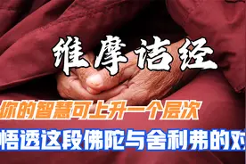 维摩诘经：悟透这段佛陀与舍利弗的对话，你的智慧可上升一个层次视频封面