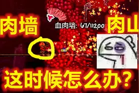 【呱】泰拉瑞亚专家5：肉山肉墙爆最重要的装备！肝疼视频封面
