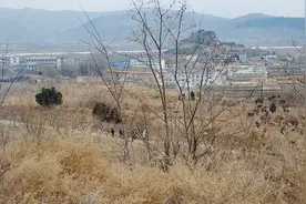 农村正月初三送先人，其隆重和热闹程度，堪比赶庙会视频封面