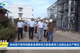 省经信厅领导到嘉鱼县调研武汉新港潘湾工业园企业生产情况视频封面