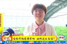 济南姑娘放弃几十万年薪，回村种草莓，研究新品种一斤能卖200元视频封面