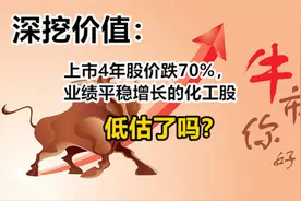 深挖价值：上市4年股价跌了70% ，业绩平稳增长化工股，低估了吗视频封面
