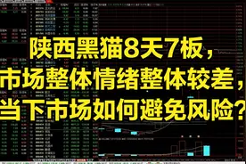 陕西黑猫8天7板，市场整体情绪整体较差，当下市场如何避免风险？视频封面