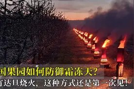 美国果园如何防御霜冻天？通宵达旦烧火，这种方式还是第一次见！视频封面