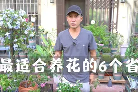 最适合养花的6个省份，第1名如同开挂般存在，小白去了也能变大神视频封面