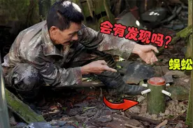 竹筒埋到土里做个“蜈蚣陷阱”，经过48小时，打开一看果然有东西视频封面