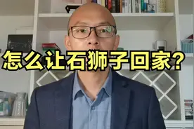 怎么让石狮子回家视频封面